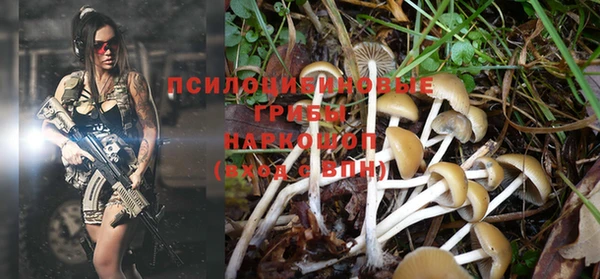 соль курить ск Магадан